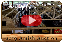 2019 Libby Montana Amish Auction