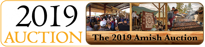 2019 Amish Auction in Libby MT